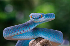 3277 Sihl SubliColor Premium Paper 85