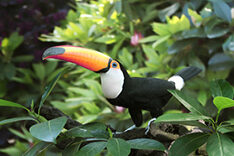 3797 Sihl SubliColor Impact II 120