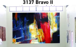 43073137_BravoII